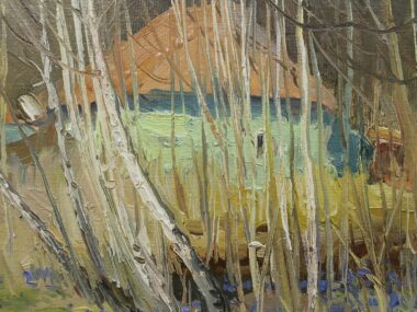 Подснежники цветут