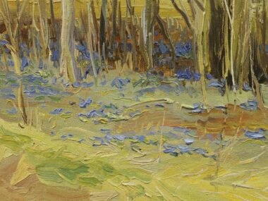 Подснежники цветут