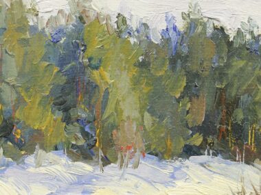 Зимние тени