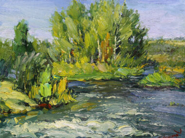 Бурная река